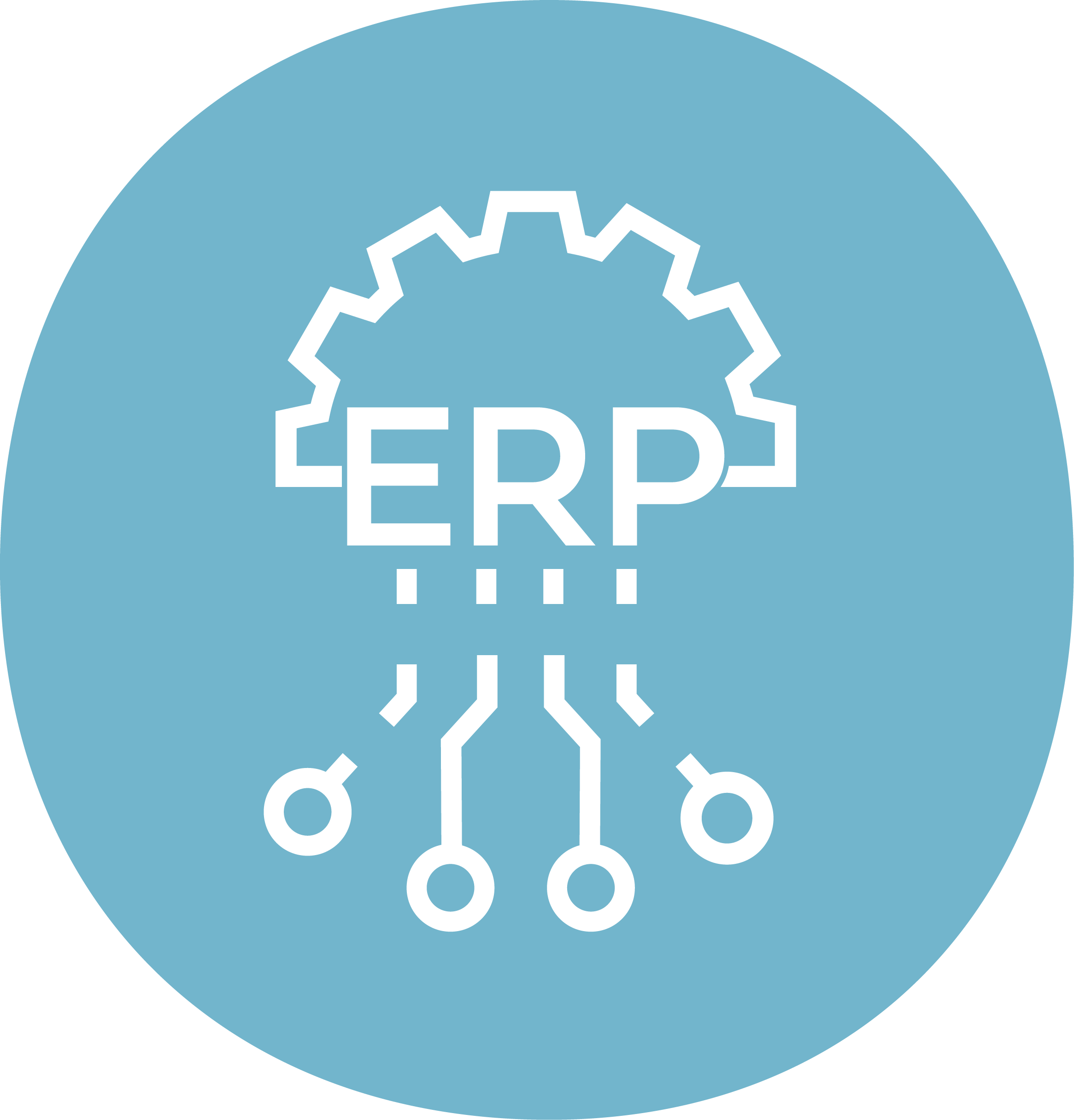 ICON_erp_blue